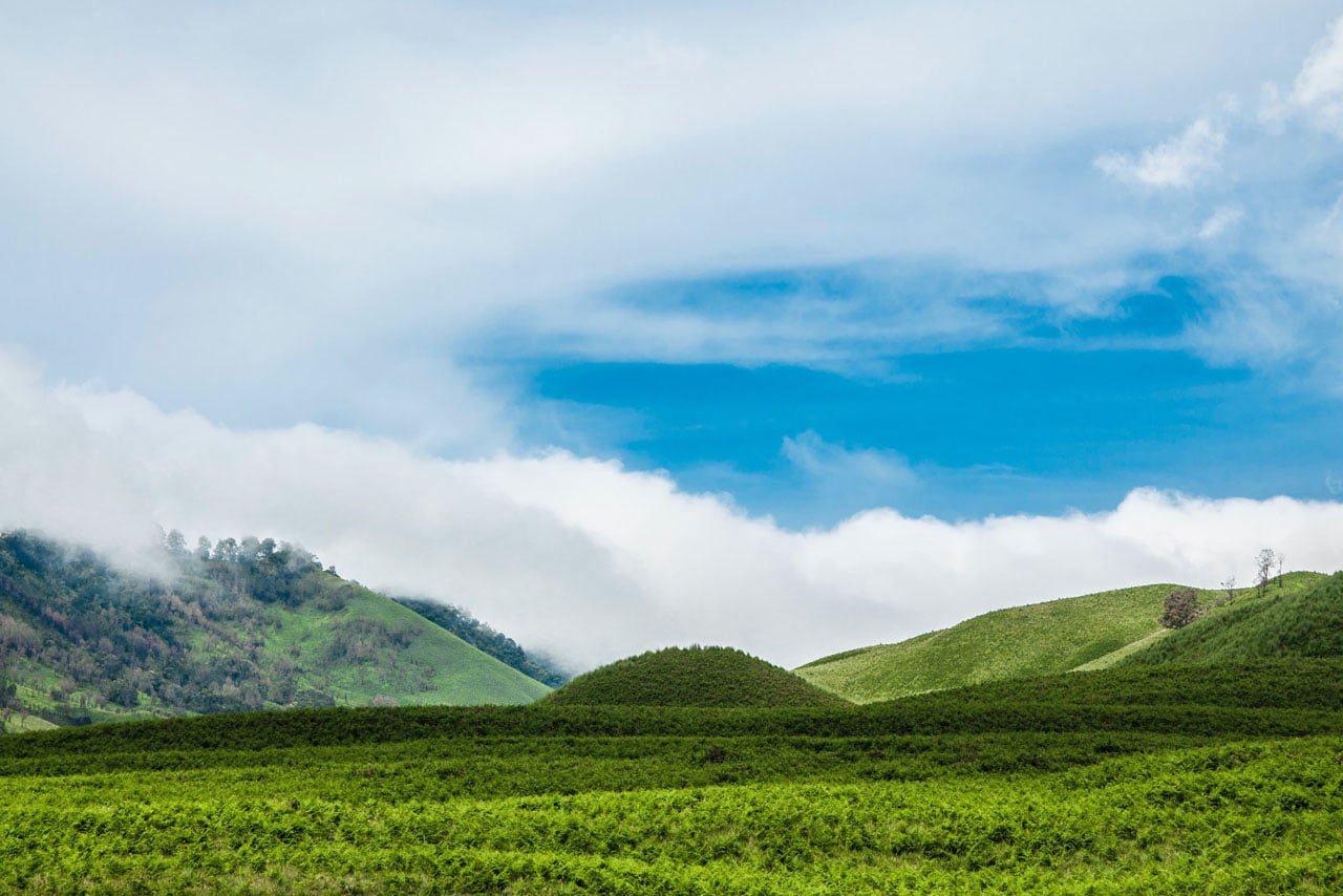 Bukit Teletubbies 1-img