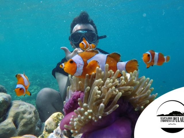 Pahawang Island Trip