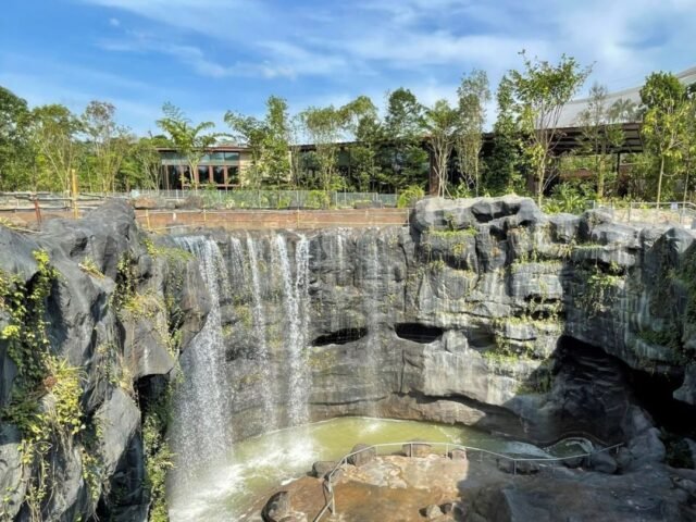 Bird Paradise Singapore